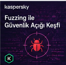 Çökme ve Güvenlik Açığı İncelemesi